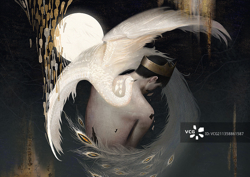 黑森林系列插画图片素材