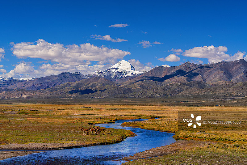 冈仁波齐、藏野驴图片素材