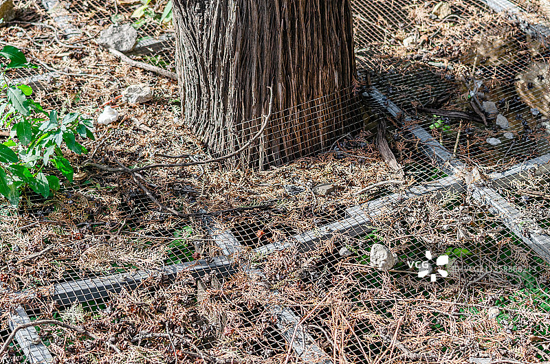 中国泰安绿化带里的过滤网图片素材