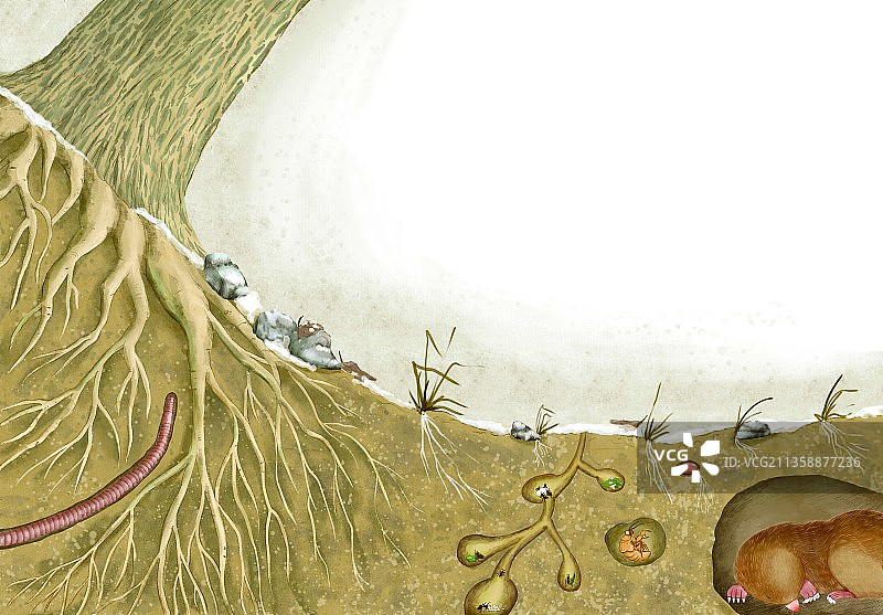 冬眠的真相图片素材