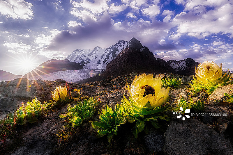 神祗秘境图片素材