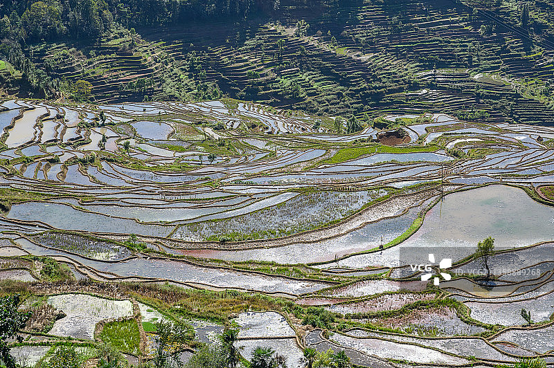 云南省红河州红河县哈尼梯田冬季风光图片素材