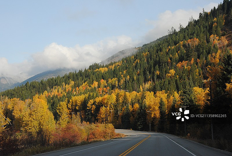 加拿大秋季树木间的空旷道路图片素材