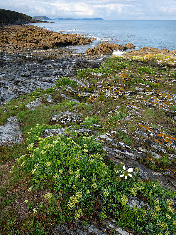 英国康沃尔罗西兰海景风光图片素材