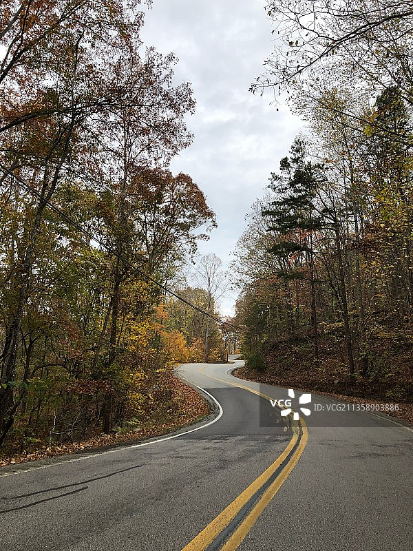 美国空旷道路图片素材