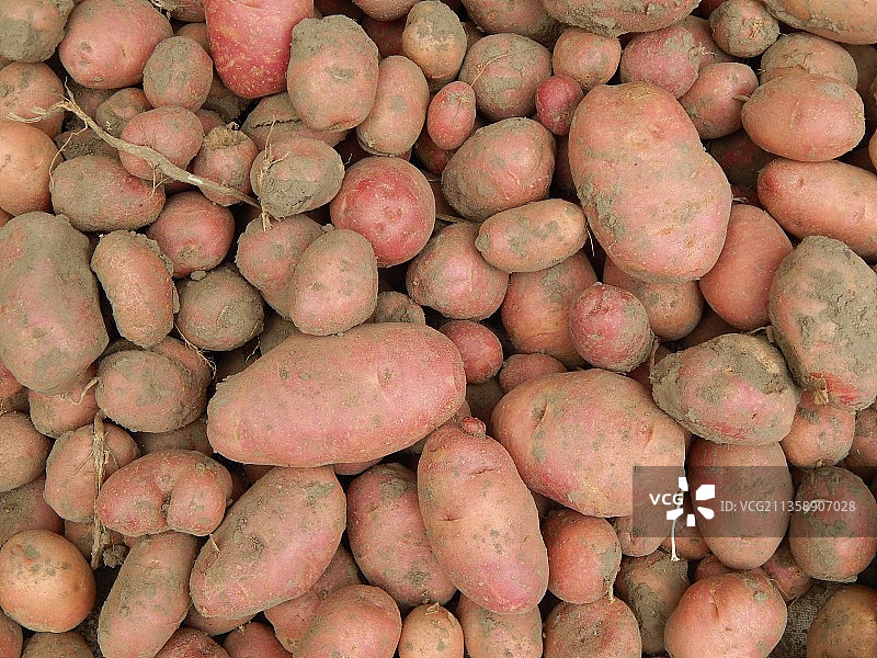 市场摊位在售土豆全画幅照片图片素材
