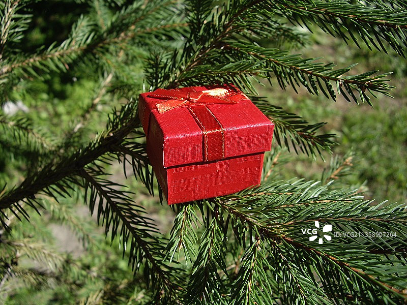 红色圣诞树特写图片素材