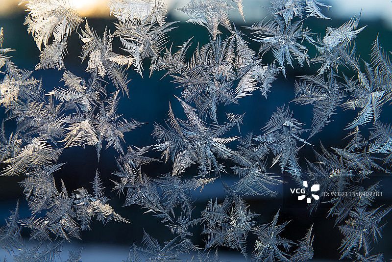 雪花特写图片素材