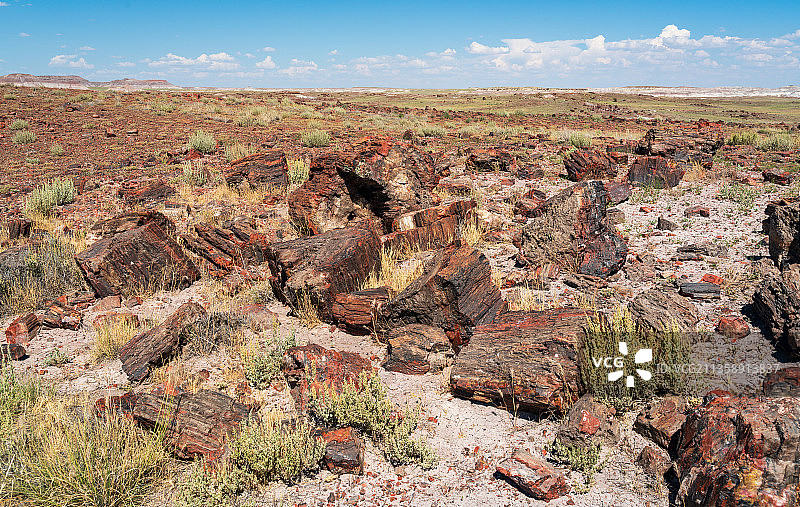 在天空衬托下的风景图片素材
