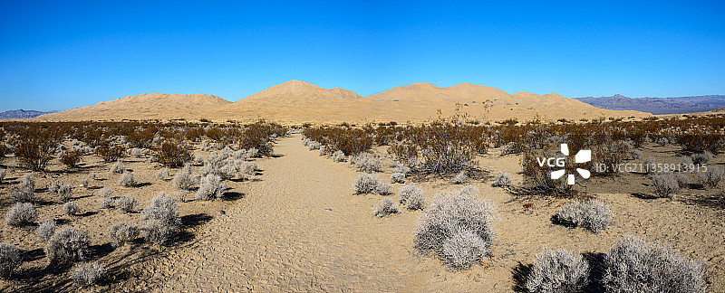 晴朗的蓝天衬托下的沙漠风景图片素材