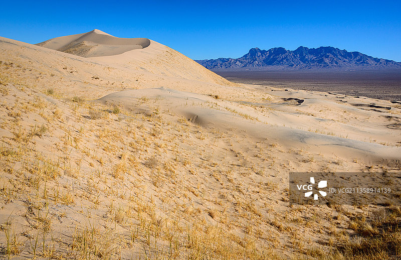 晴朗的蓝天衬托下的沙漠风景图片素材