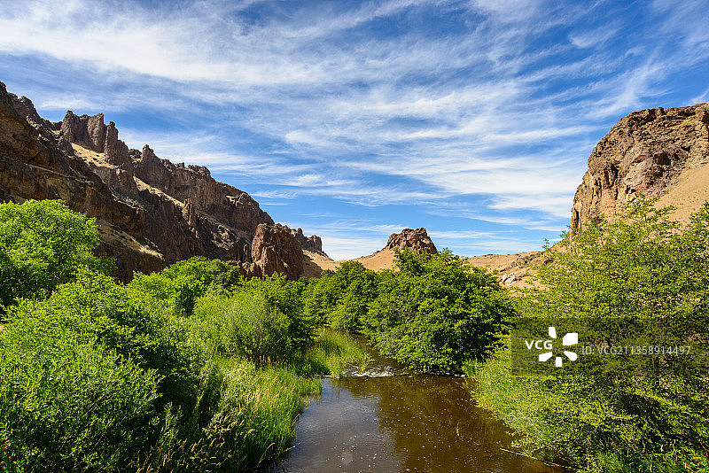 树与天相衬的河流景色图片素材