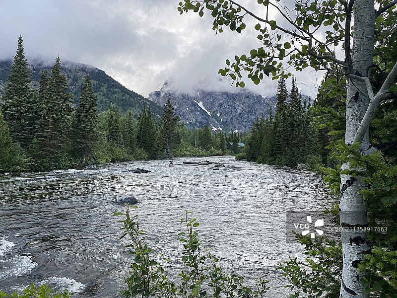 美国怀俄明州大提顿的河流树木景色图片素材