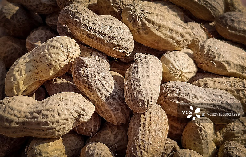 尼泊尔加德满都的花生特写图片素材