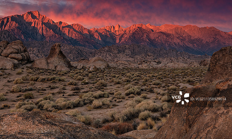 美国加利福尼亚州孤松镇日落时分的沙漠风光图片素材