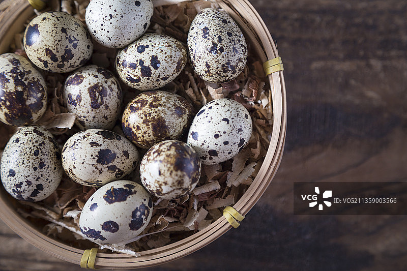 室内多个鹌鹑蛋静物特写图片素材