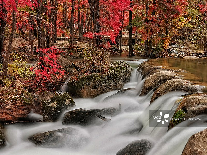 溪水潺潺枫叶红图片素材