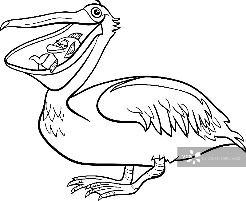 卡通鹈鹕鸟类动物角色着色图片素材