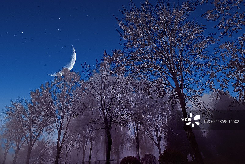 《月儿弯弯》图片素材