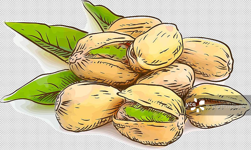 卡通美食开心果图片素材