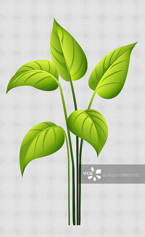 卡通绿色树叶免扣元素图片素材