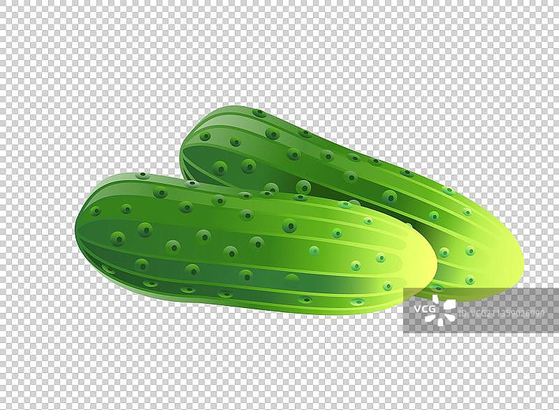 两根黄瓜图片素材