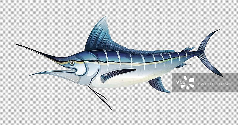 卡通浅蓝色蓝枪鱼免抠元素图片素材
