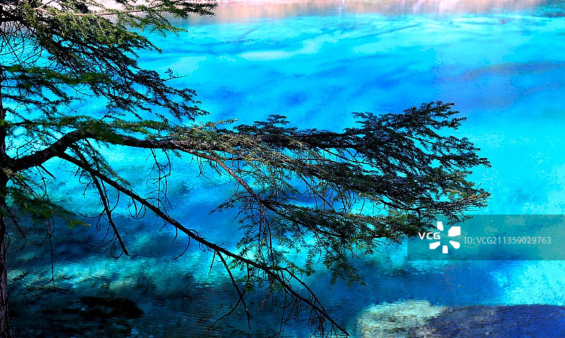 松下清澈的潭水图片素材