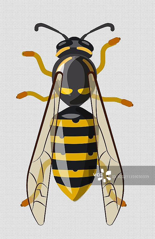 卡通一只黄蜂元素图片素材
