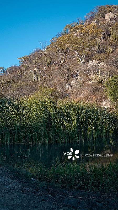 墨西哥洛斯卡沃斯蓝天湖泊风光图片素材