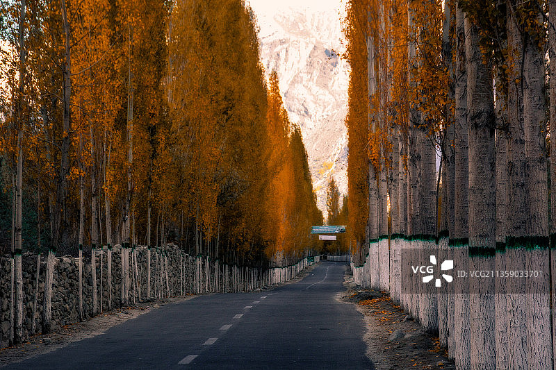 森林中的道路与树木，巴基斯坦俾路支省拉基洛拉莱图片素材