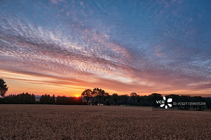 德国德累斯顿日落时分的田野风光图片素材