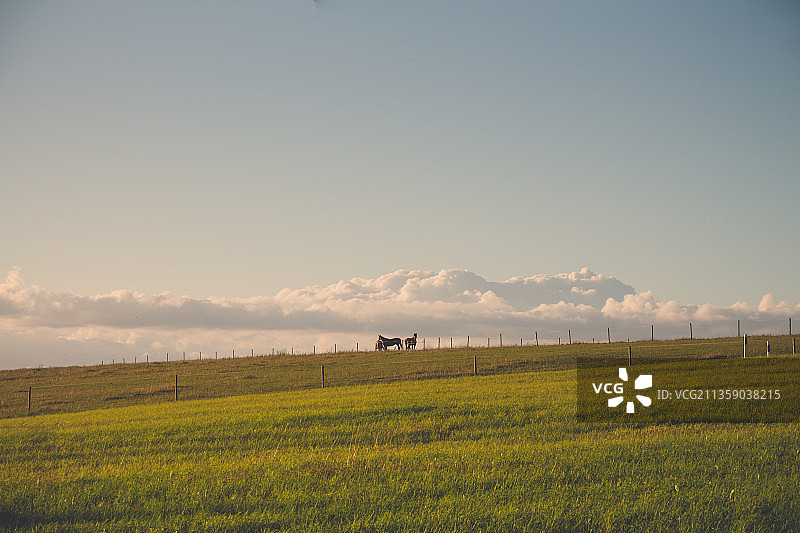 爱沙尼亚塔尔图县田野风光图片素材