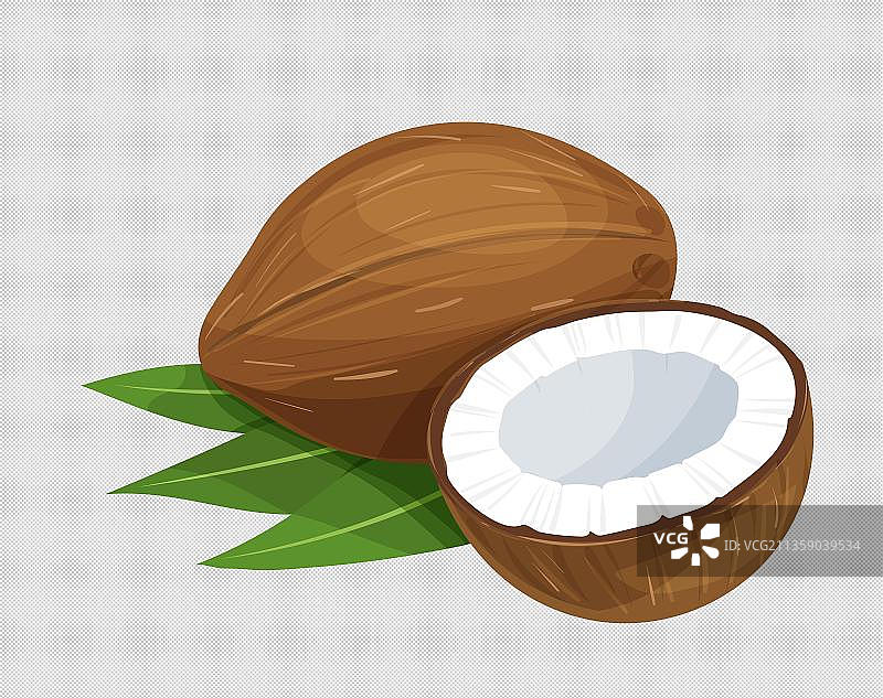 高清椰子手绘大图图片素材
