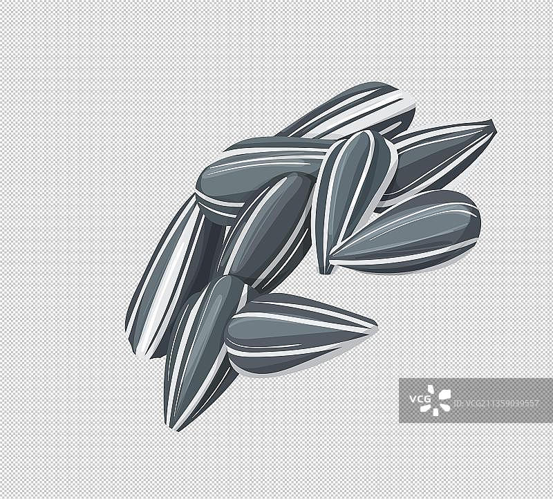 黑色的薄皮瓜子图片素材