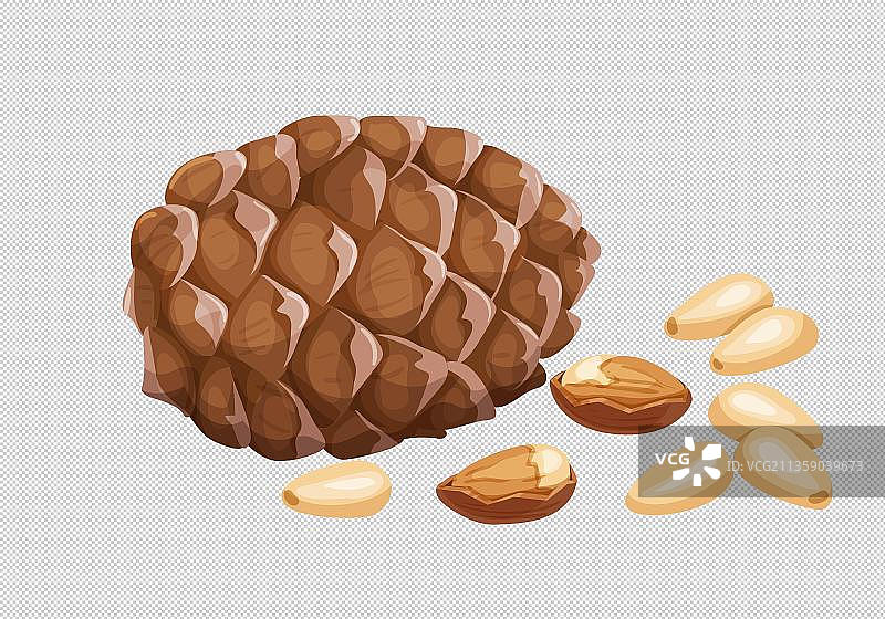 松果和松子坚果手绘图片素材