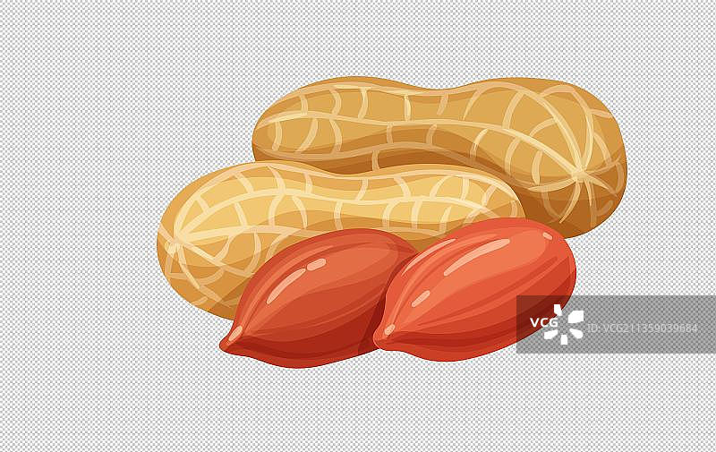 花生手绘图片素材