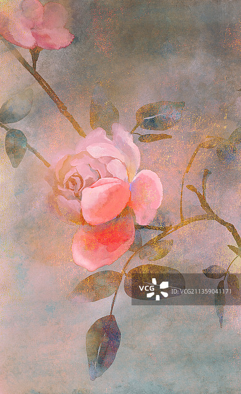 水墨月季花图片素材