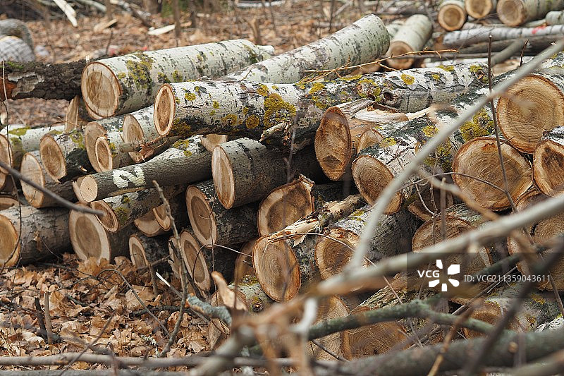 俄罗斯柴火特写图片素材