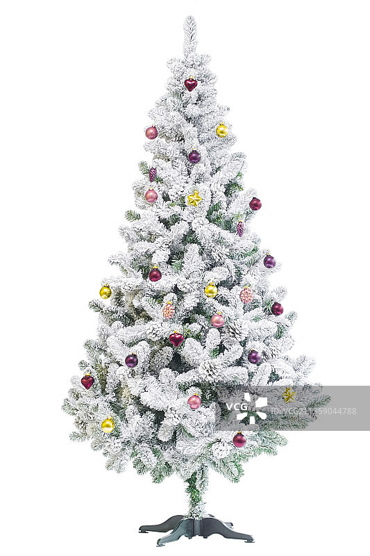 白色背景下的圣诞树特写图片素材