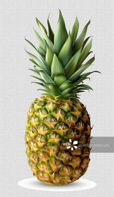 新鲜水果菠萝图片素材