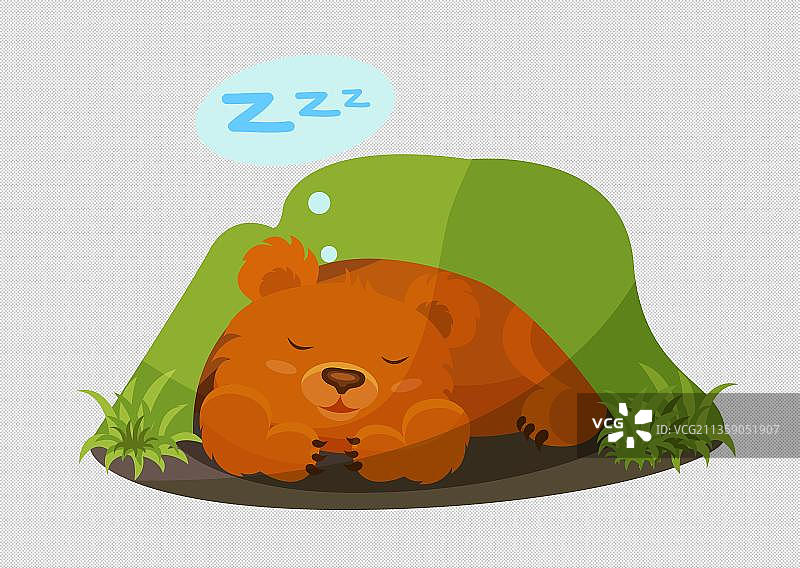 草坪里的棕熊图片素材