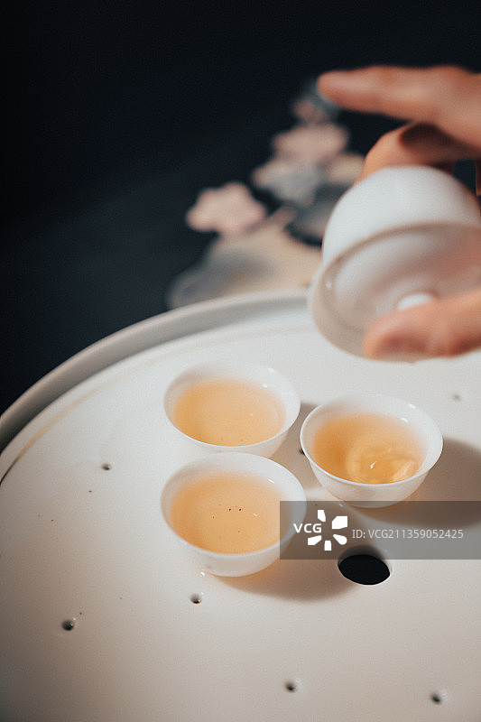 冲泡潮汕凤凰单丛图片素材