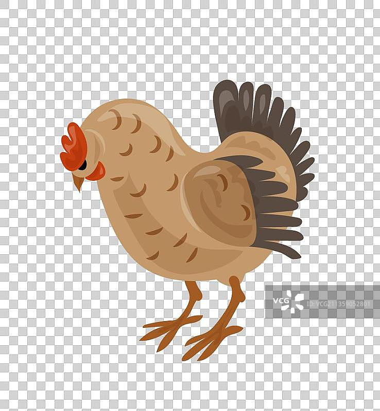 卡通土黄色的小鸡图片素材