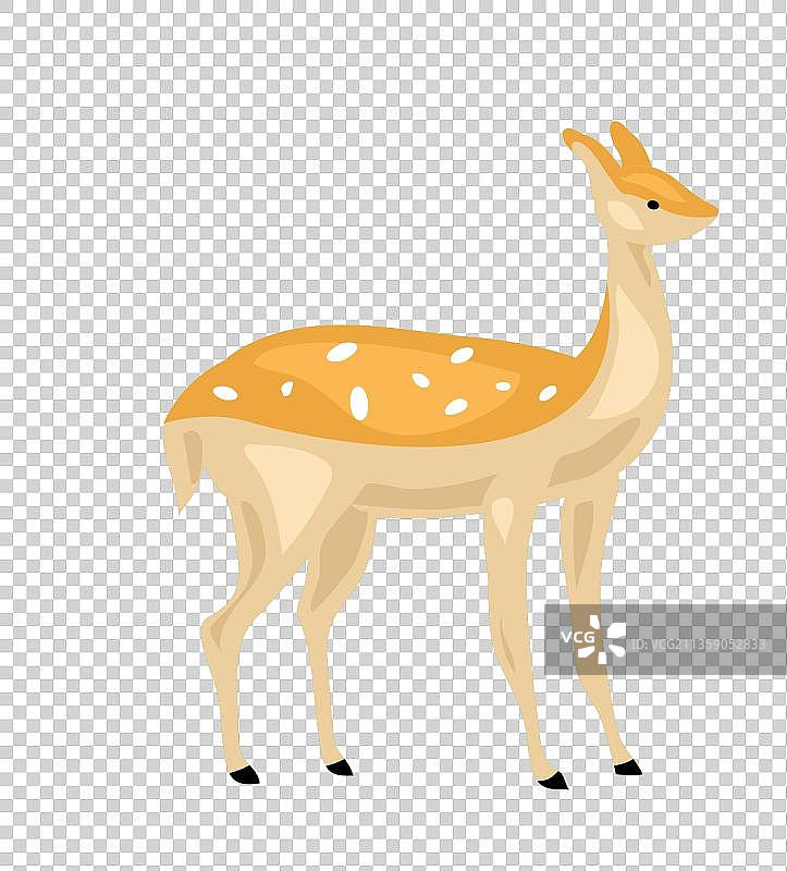 卡通站立的黄色梅花鹿图片素材