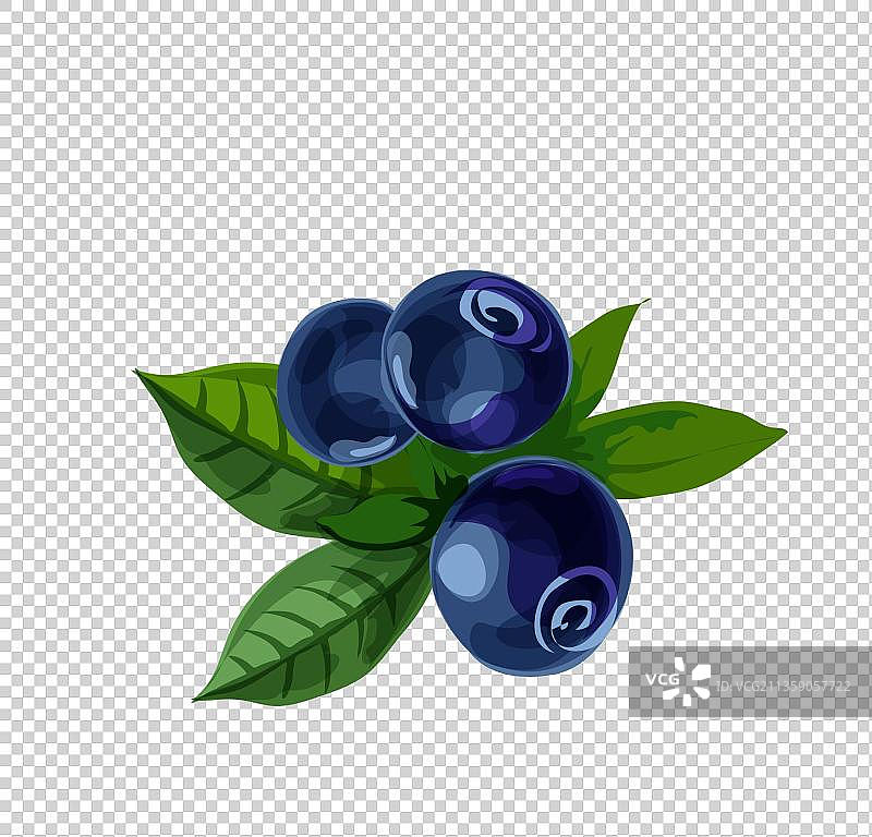 手绘卡通蓝莓元素图片素材