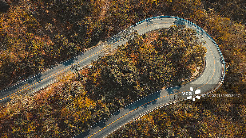 秋季树木间的公路航拍景色图片素材