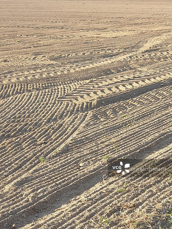 农田的高角度视图图片素材