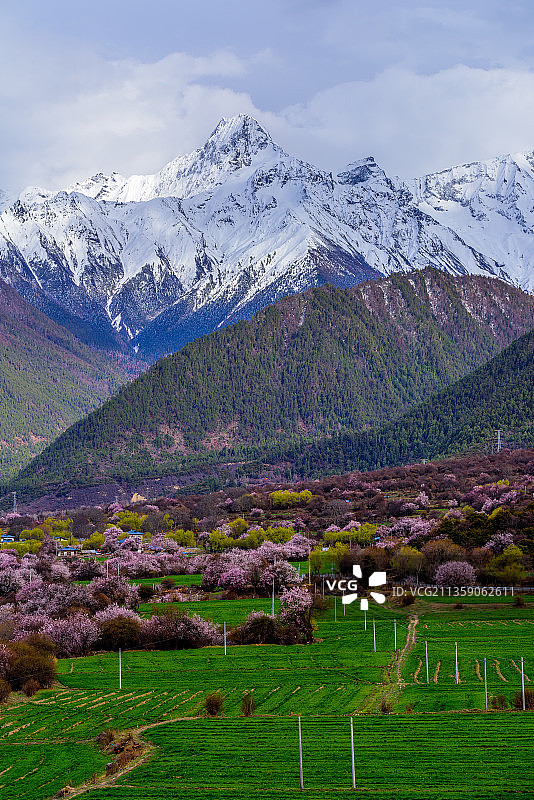 林芝春色图片素材