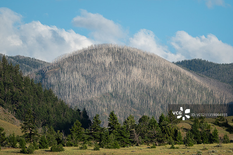 蒙大拿天堂谷的风景图片素材